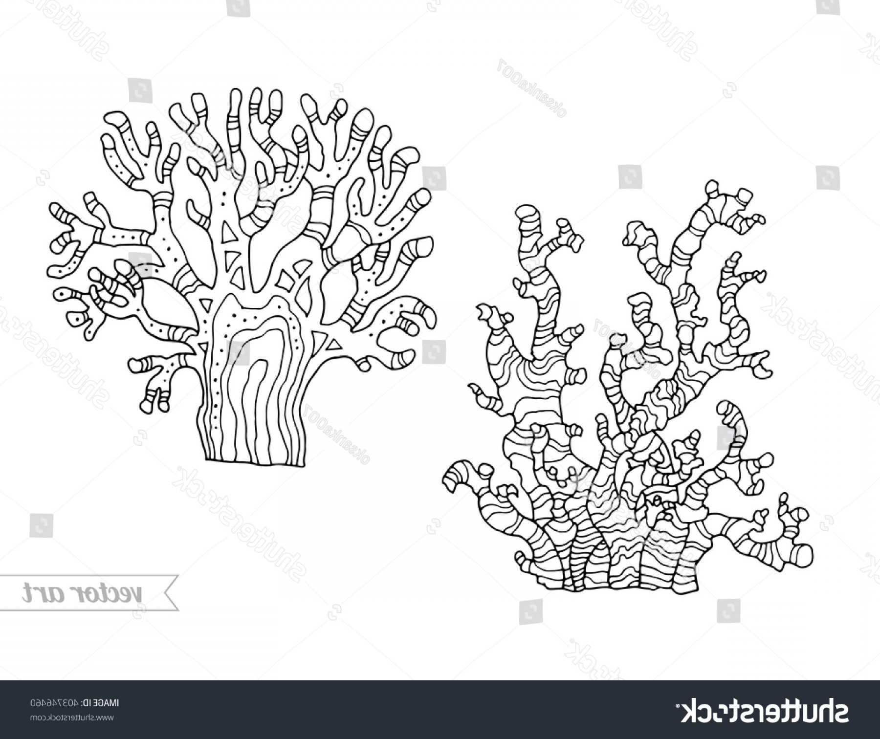1800x1512 Black Coral Vector Art Orangiausa