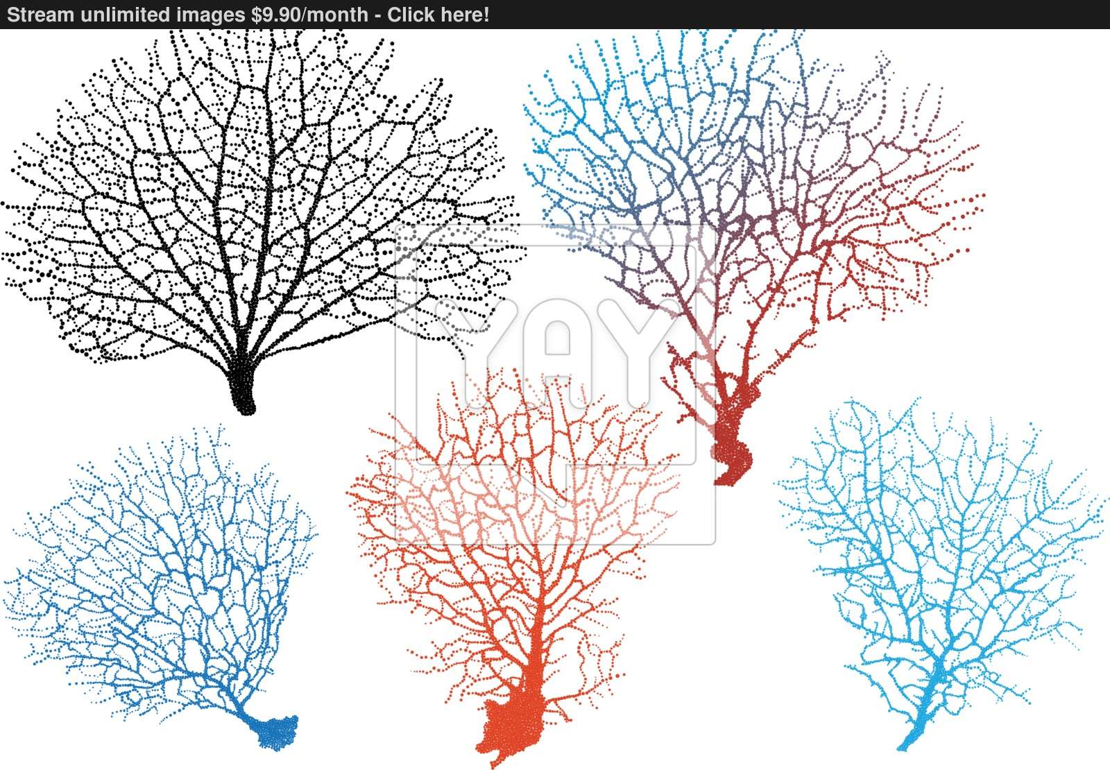 1600x1110 Sea Fan Corals, Vector Set Vector