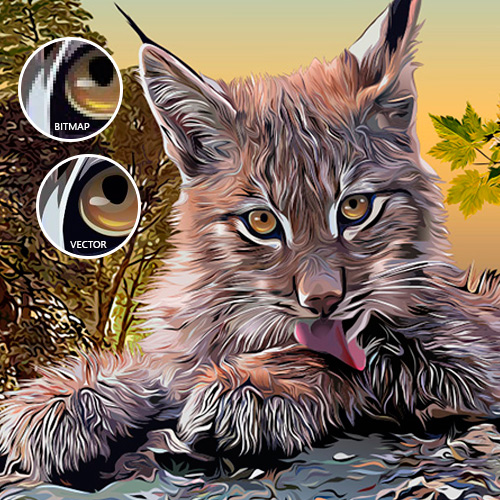 500x500 Vector Illustration Software For Editing Amp Conversion