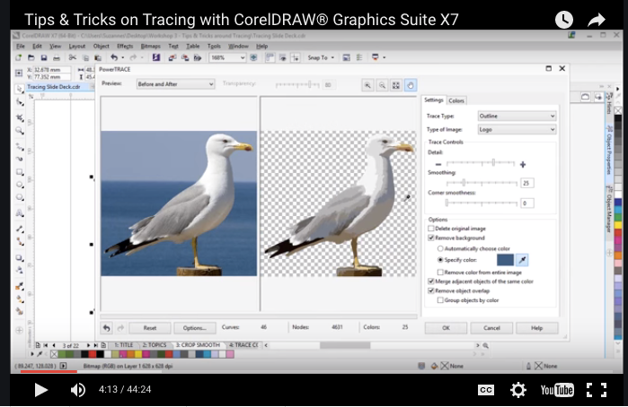 699x454 Raster To Vector Convert Jpg, Bmp, And More To Vector