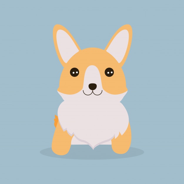 626x626 Corgi Vectors, Photos And Psd Files Free Download