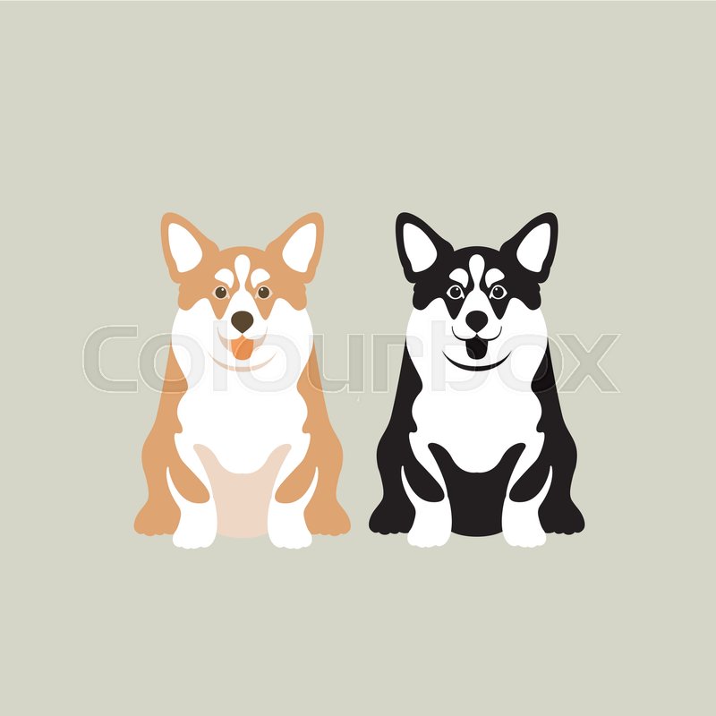 800x800 Corgi Vector Illustration Style Flat Set Front Side Stock Vector