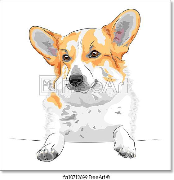 561x581 Free Art Print Of Vector Sketch Dog Pembroke Welsh Corgi Smiling