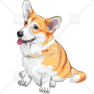 400x400 Pembroke Welsh Icon Corgi Vector Image Vector Artwork Of Plants