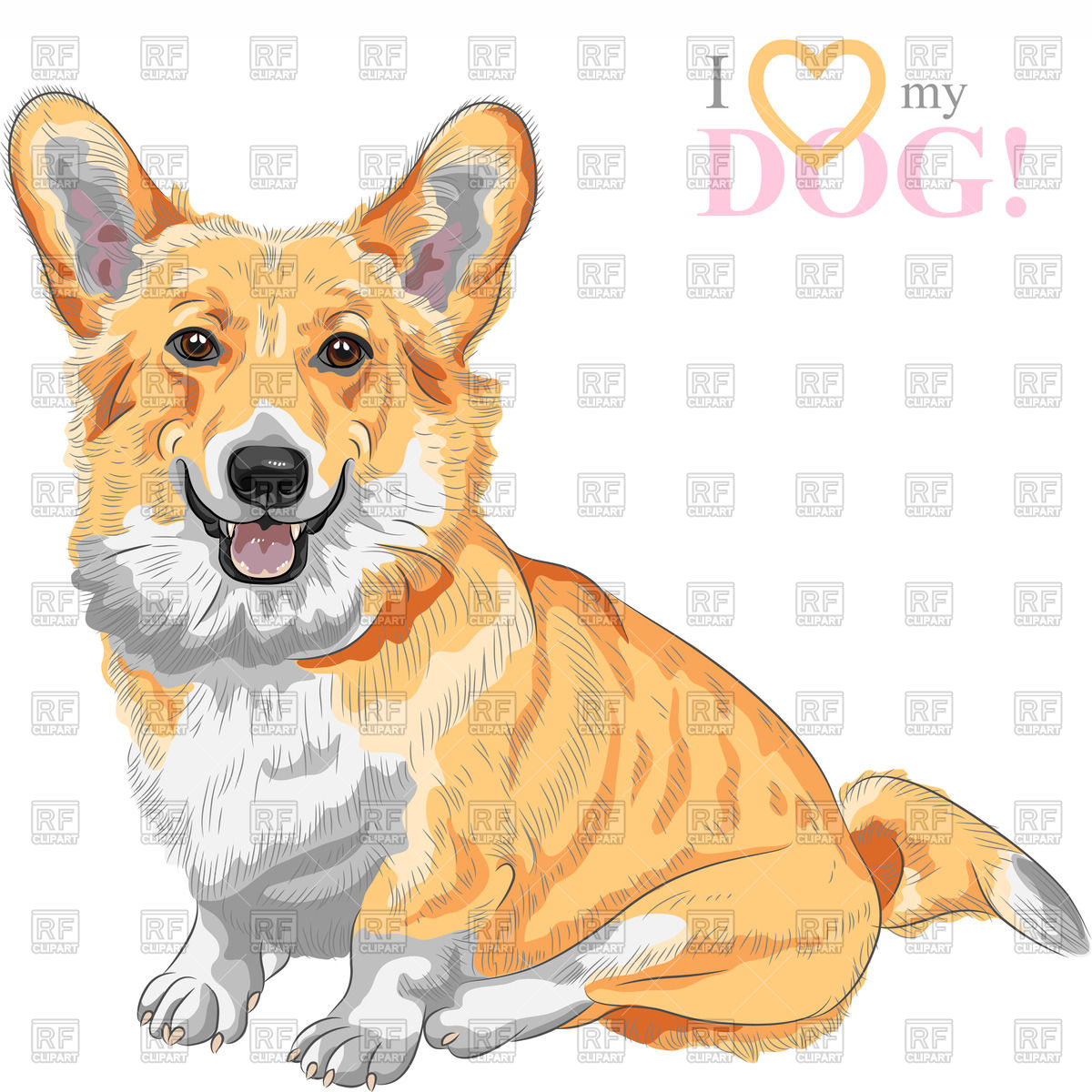 1200x1200 Color Sketch Of The Dog