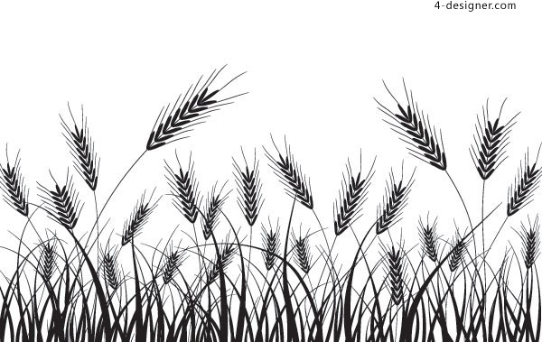 Corn Field Vector at GetDrawings | Free download