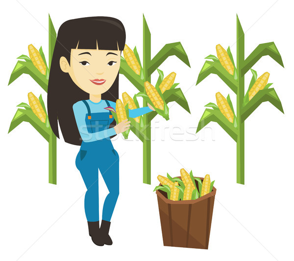 600x534 Corn On The Cob Stock Vectors, Illustrations And Cliparts Stockfresh