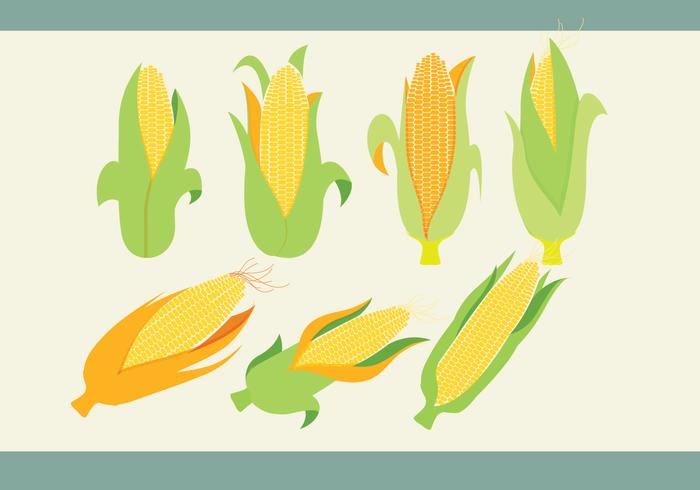 700x490 Ear Of Corn Vectors