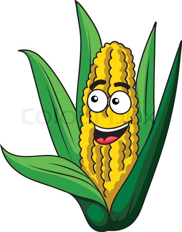 627x800 Fresh Happy Healthy Corn On The Cob With Green Leaves And A Happy