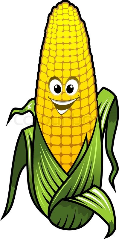 398x800 Healthy Fresh Yellow Corn Vegetable On The Cob With A Big Happy