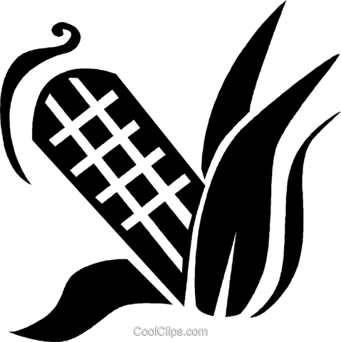 479x480 Corn On The Cob Royalty Free Vector Clip Art Illustration