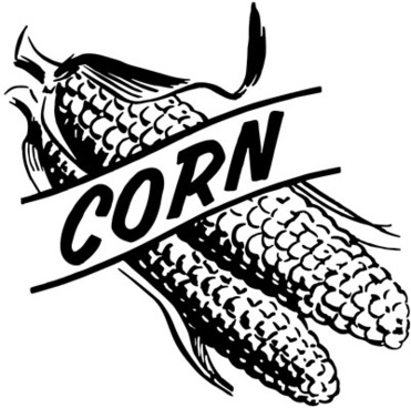371x368 Corn Stalk Vector Free Vector Download (127 Free Vector) For