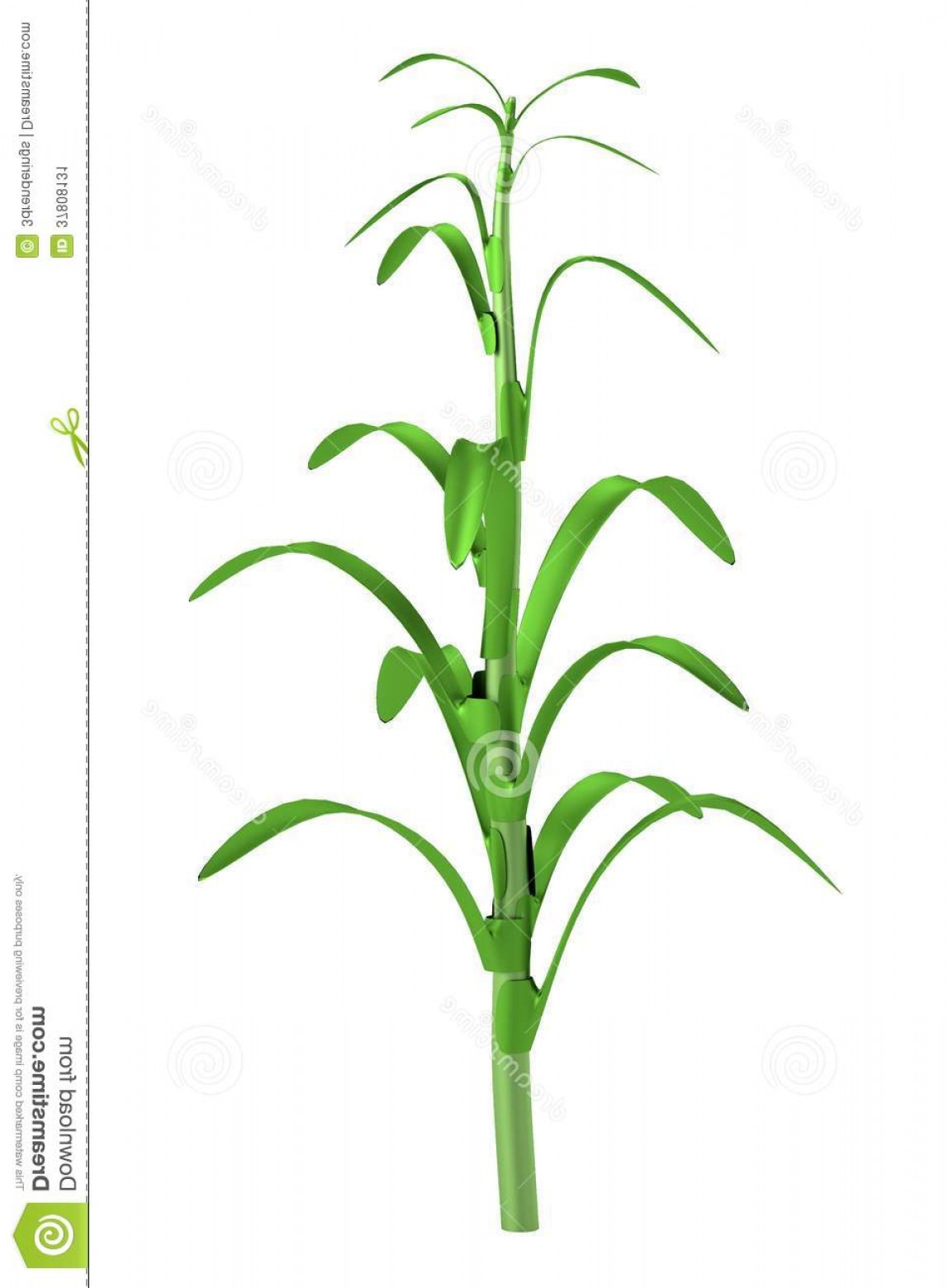 1148x1560 Stock Image D Model Corn Stalk Realistic Image Geekchicpro