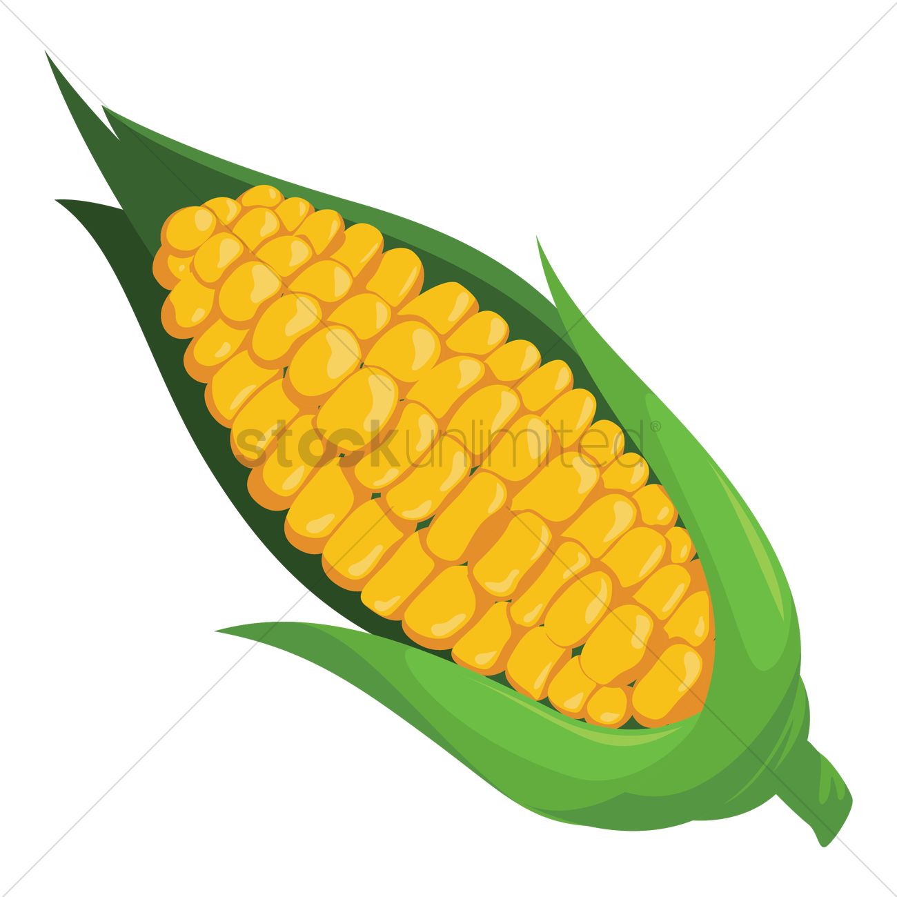 1300x1300 Corn Vector Image