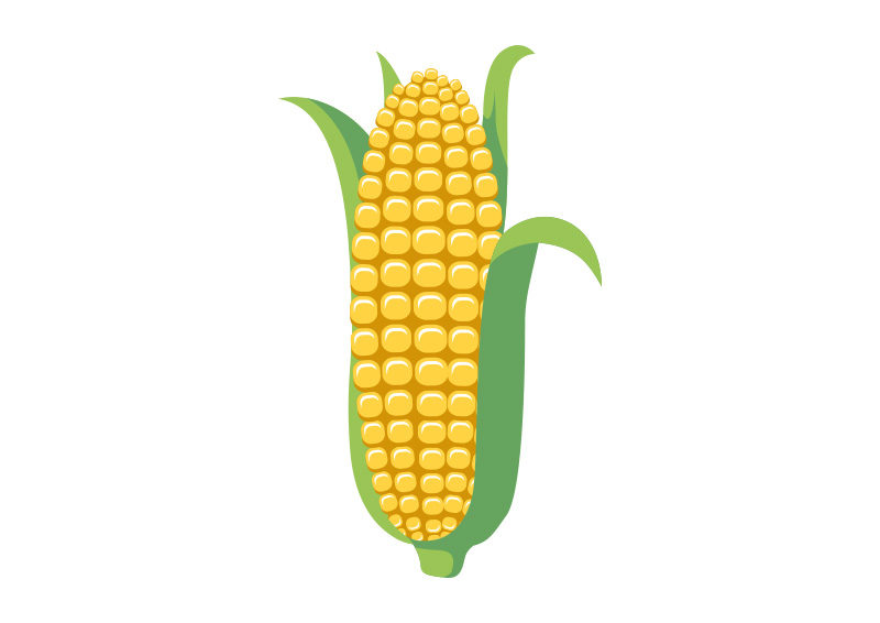 800x566 Corn With Leaves Free Vector