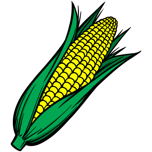 500x500 Hand Drawn Corn Vector Design 01 Free Download