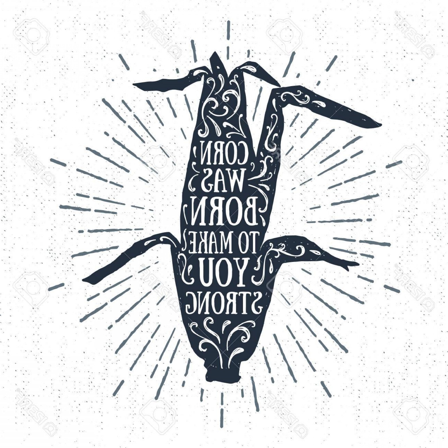 1560x1560 Photostock Vector Hand Drawn Tribal Label With Textured Corn