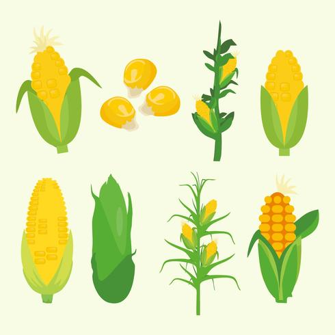 490x490 Corn Free Vector Art