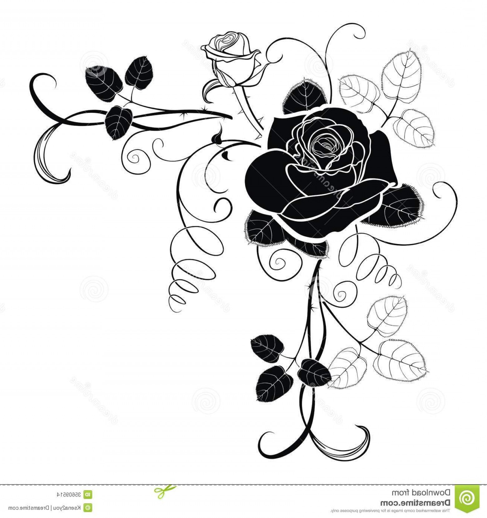 1560x1658 Stock Images Corner Decoration Rose Vector Background Roses Grunge