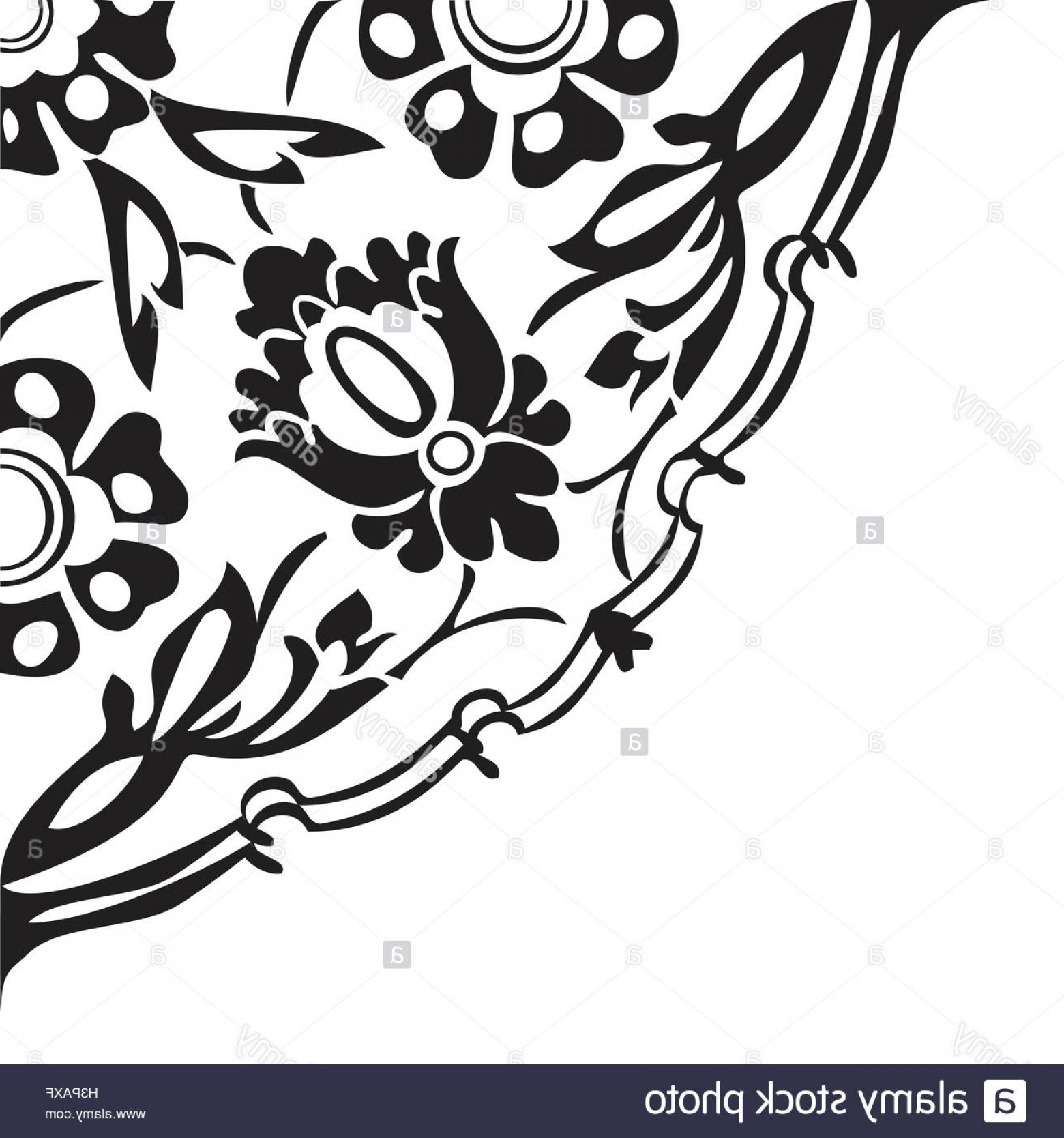 1560x1668 Stock Photo Black And White Round Floral Border Corner Abstract
