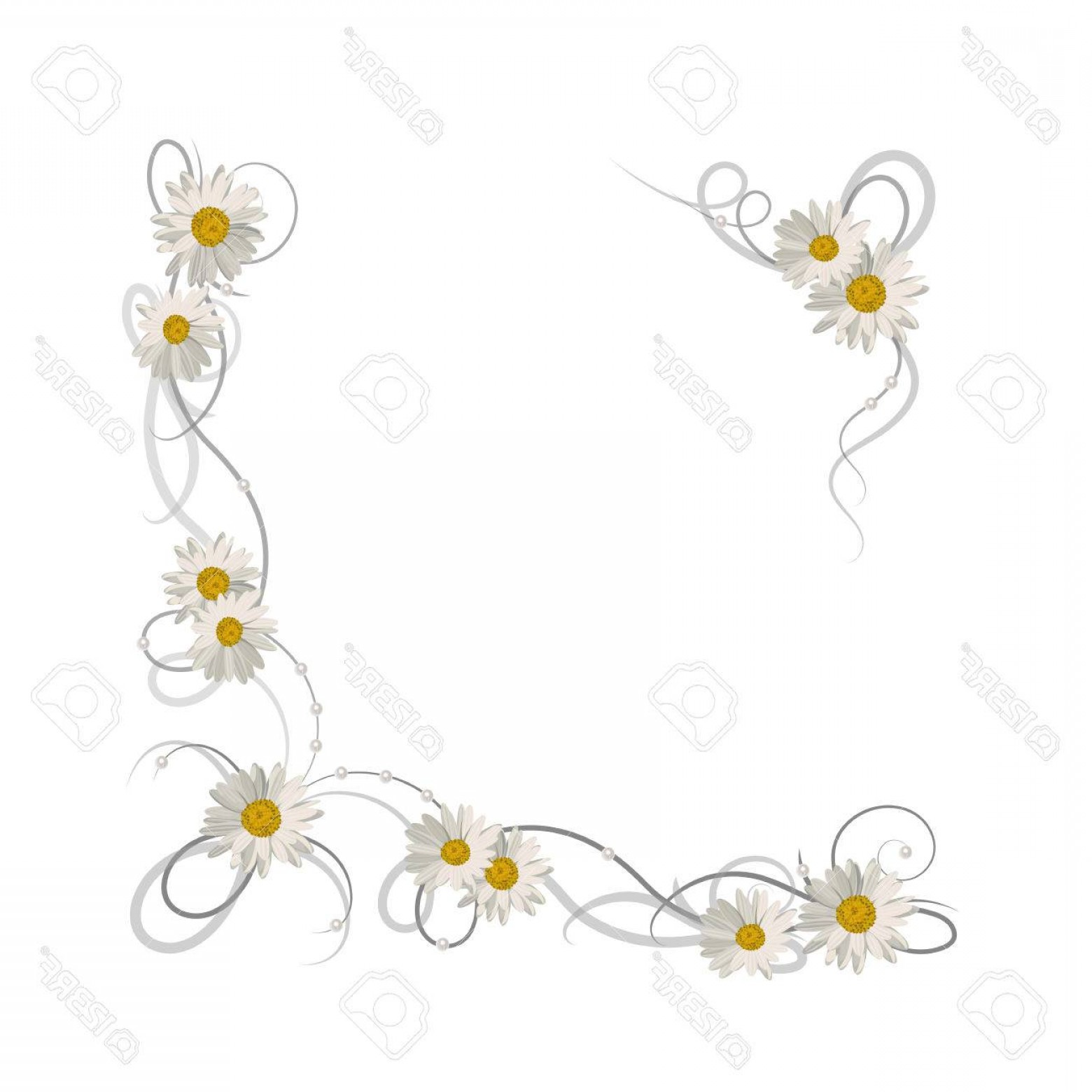 1560x1560 Photostock Vector Floral Vector Background Corner Frame With Daisy