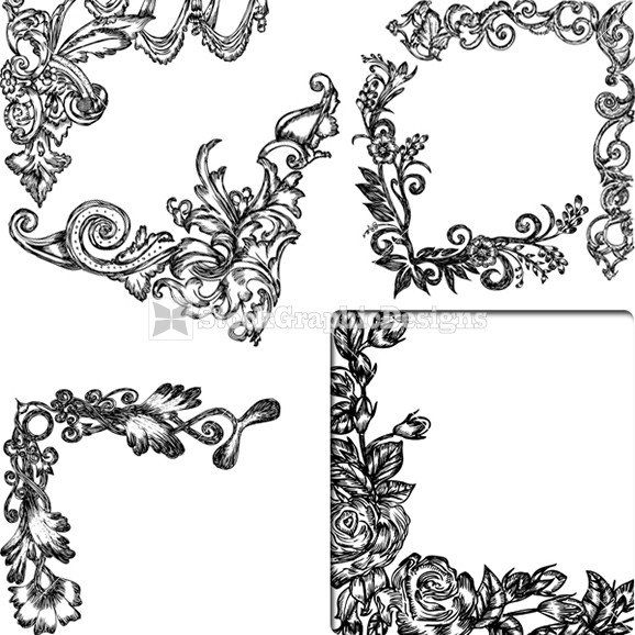 578x578 Hand Drawn Decorative Floral Corner Vector Illustration