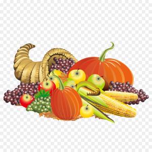 300x300 Thanksgiving Cornucopia And Pilgrims Hat Vector Clipart Orangiausa