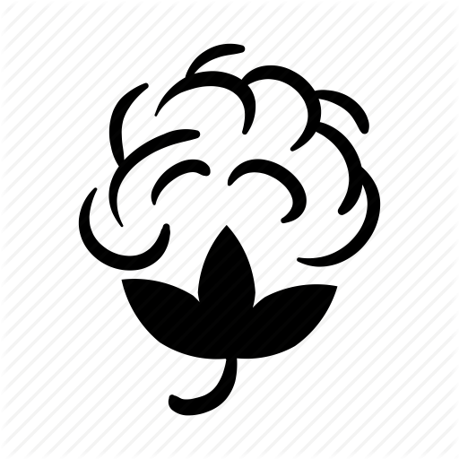 512x512 Cotton Vector Design Png