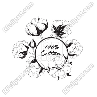 400x400 Cotton Flower. Hand Drawn Floral Frame. Vector Image Vector