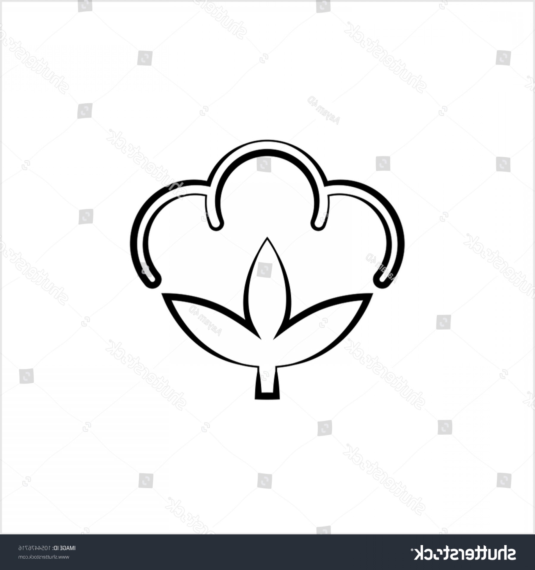 1800x1920 Cotton Flower Icon Ball Fiber Vector Rongholland