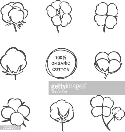 405x426 Cotton Vector Premium Clipart