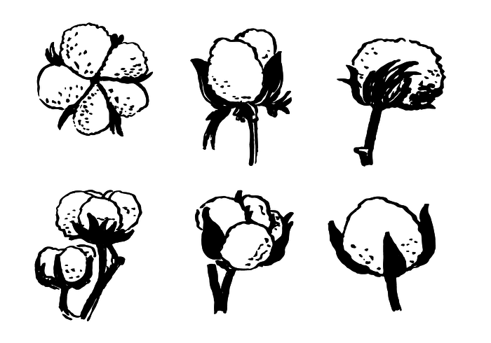 700x490 Hand Drawn Cotton Plant Vector