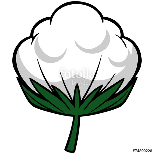 500x500 Cotton Blossom Stock Image And Royalty Free Vector Files On