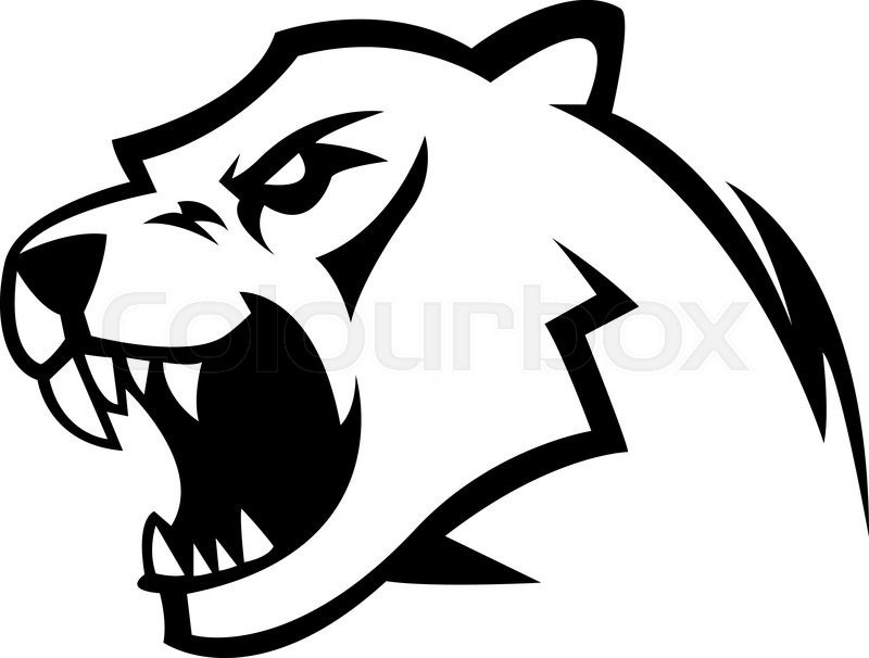 800x606 Cougar Design Illustration Stock Vector Colourbox