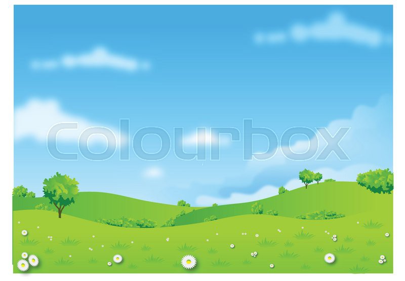 800x555 Summer Countryside Stock Vector Colourbox