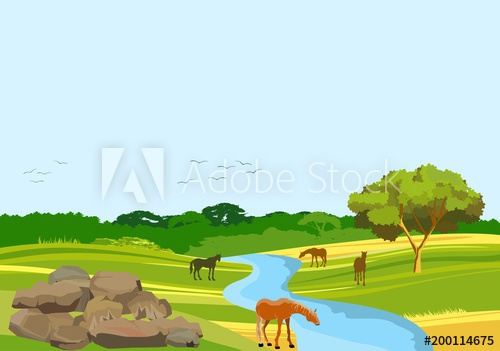 500x351 Wild Nature Countryside Vector Concept View, Horses