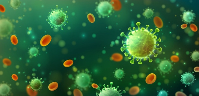 664x322 Covid 19 Coronavirus vector