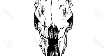 367x195 Ornament Black And White Cow Face Vector Free Vector Art, Images