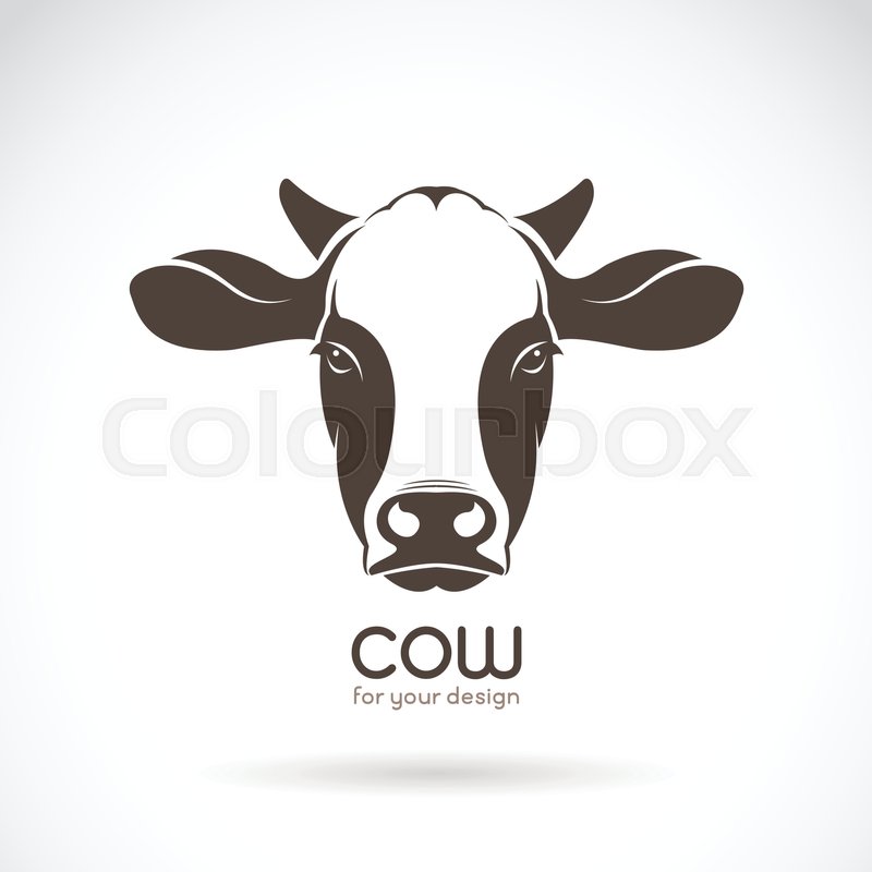 800x800 Vector Of Cow Face Design On White Background. Farm Animal
