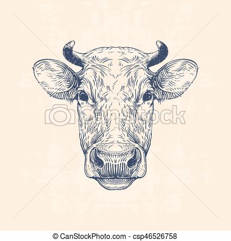 450x470 Cow Head, Hand Drawn Vintage Illustration Clipart Vector