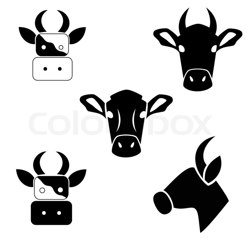 800x800 Abstract Cows Head Stock Vector Colourbox
