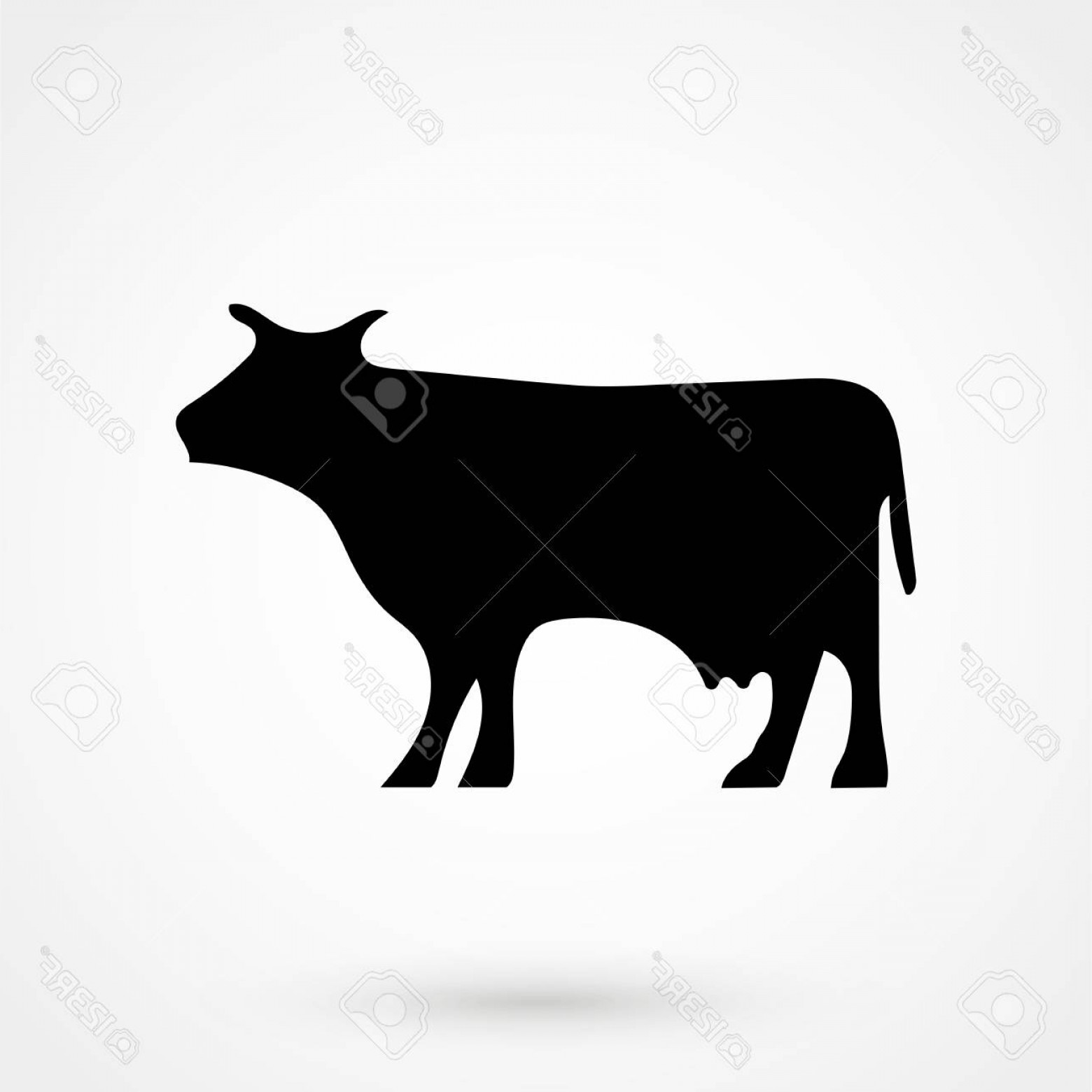 1560x1560 Photostock Vector Cow Icon Vector Silhouette Cow Cow Icon Vector