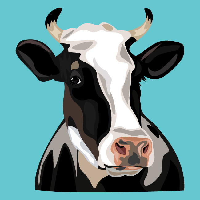 650x650 Cow Vector Image