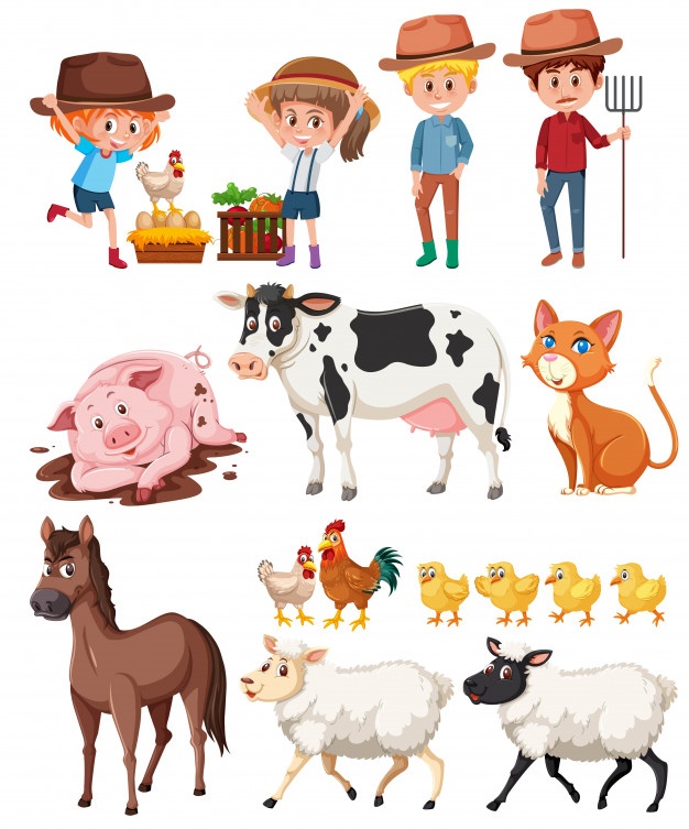 626x753 Cow Vectors, Photos And Psd Files Free Download