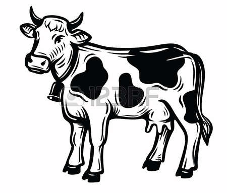 450x383 Drawn Cow Vector