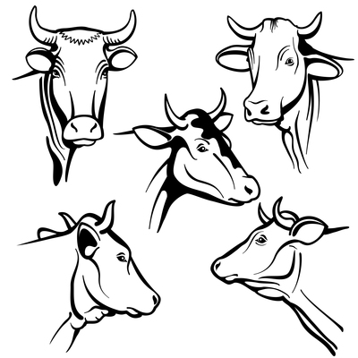 400x400 Page 1 Cow On Curated Vector Illustrations, Stock Royalty Free