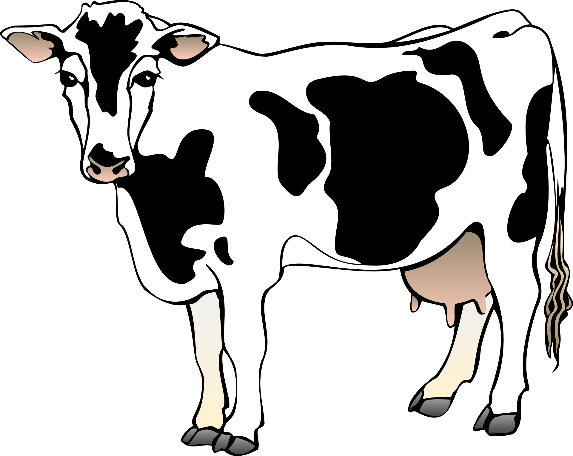 1920x1527 Cow Vector Cartoon Animal Free Psd,vector,icons A Udder