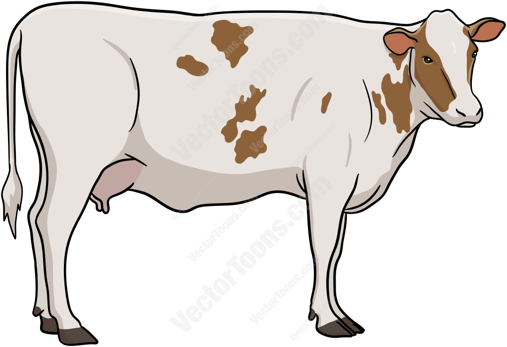 1024x701 Cow Vector 9 An Images Hub
