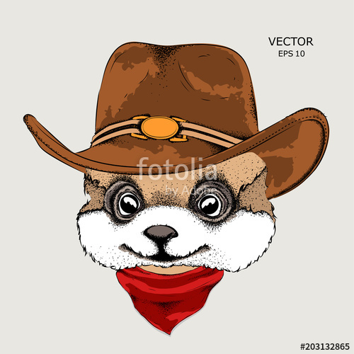 500x500 A Rabbit In A Cowboy Hat. Vector Illustration Stock Image And