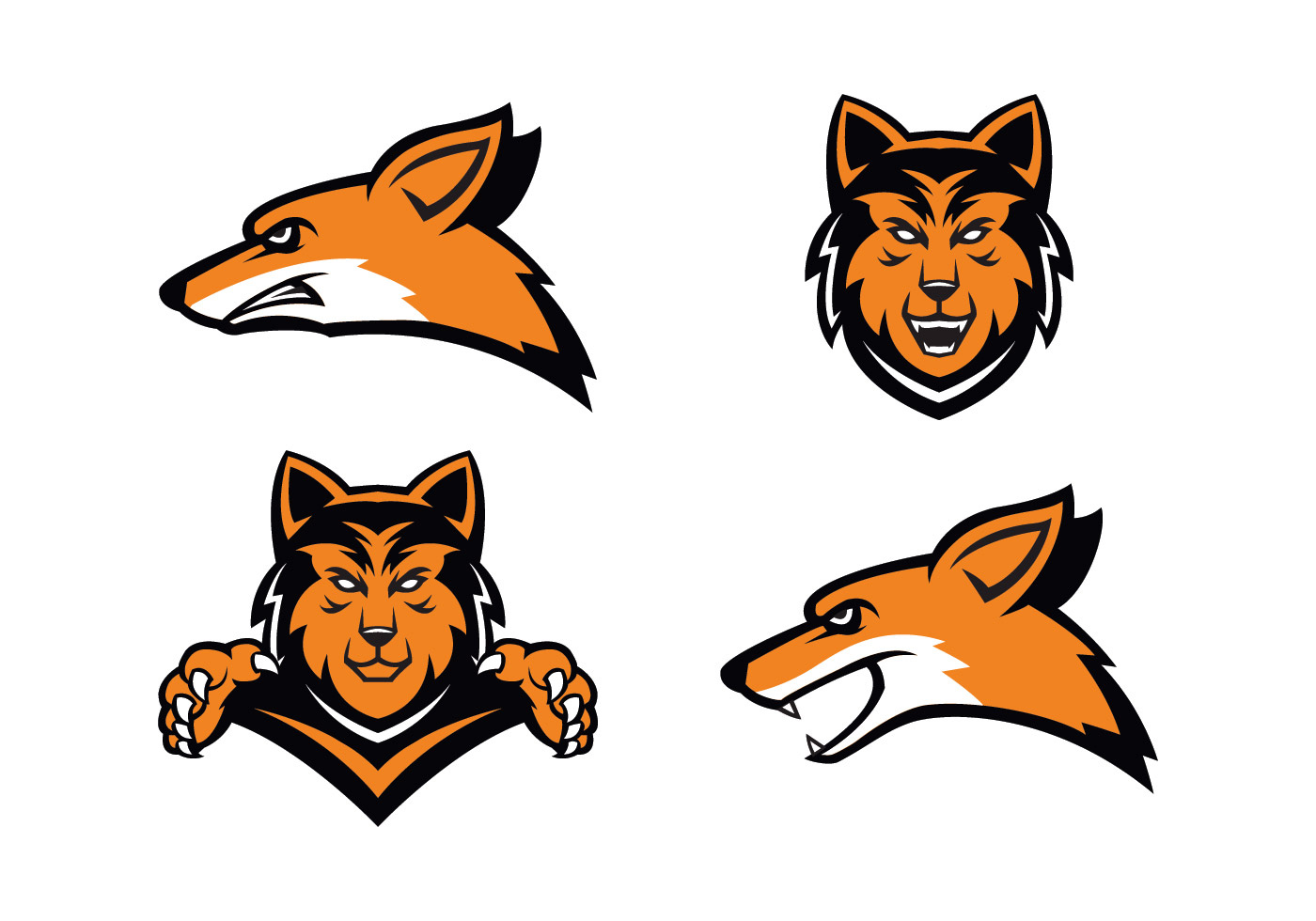 1400x980 Coyote Free Vector Art